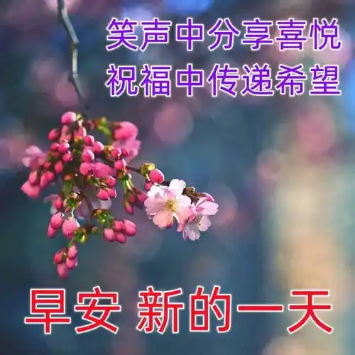 新的一天早安问候祝福语大全简短语句_人生_向前_阳光