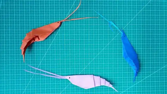 分享一款折纸漂亮的大虾视频教程,只要一张纸,来我们一起做吧