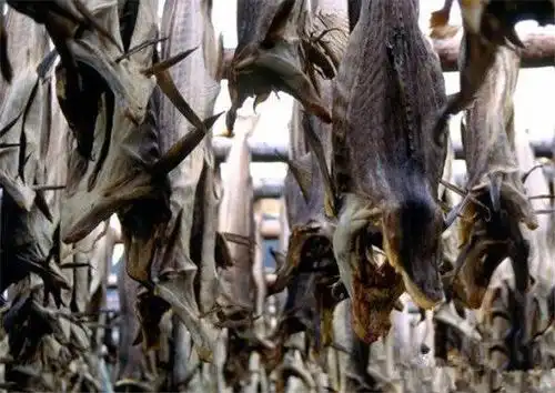 全球最臭的10种食物 你敢吃吗?