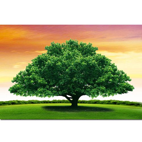 萌念苍天大树自粘画一颗树画绿色草地美景风景画客厅卧室装饰挂画的