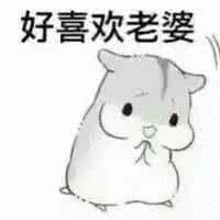 撩老婆表情包撩媳妇儿女朋友表情图片