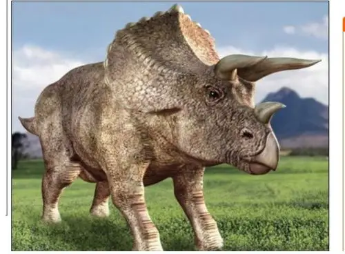 国际中心/综合报导 最近在纽约水牛城出土 的三角恐龙