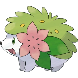 口袋妖怪漆黑的魅影洁咪天空形态配招详解