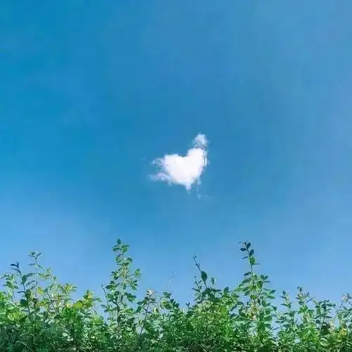 精选100张个性微信头像,任你挑选