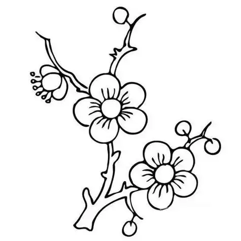 儿童梅花简笔画的画法 亲子简笔画大全怎样画梅花用铅笔画冬日的腊梅