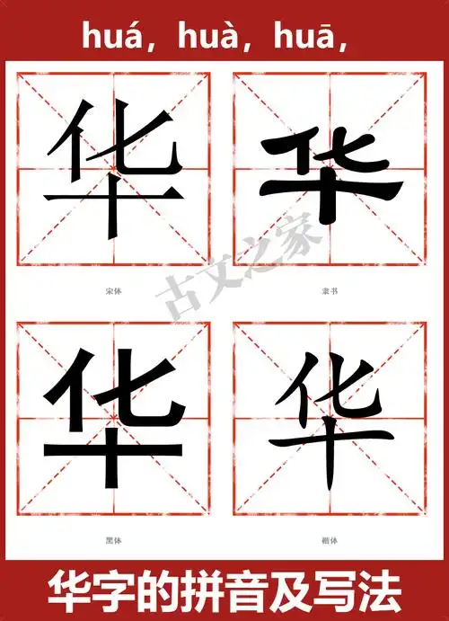华的拼音怎么读