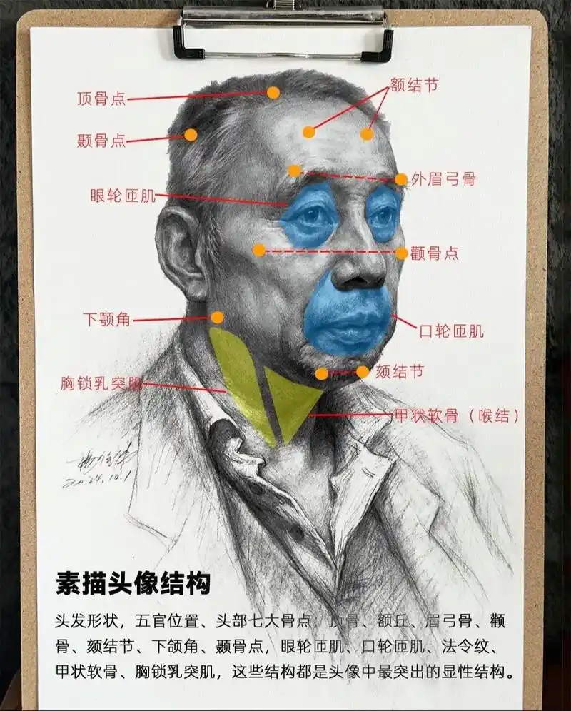 素描头像的几种起形方法,建议美术生点赞收藏 #美术生 #干货