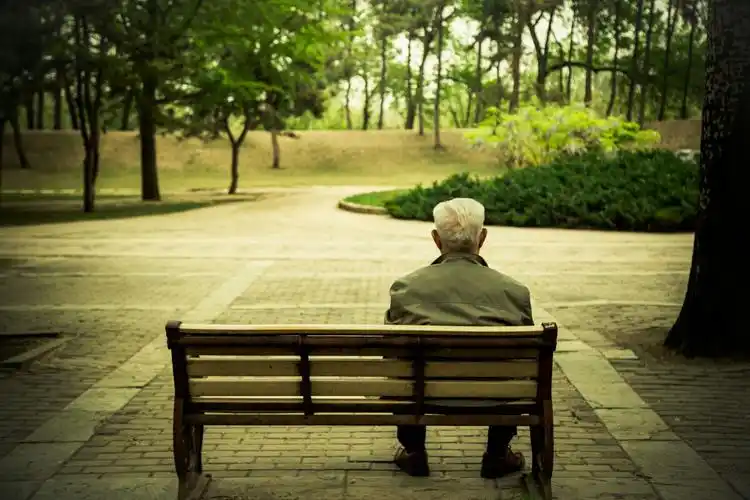 公园偶遇,一位老人,静静的坐在凳子面前,或是等人,或是沉思.