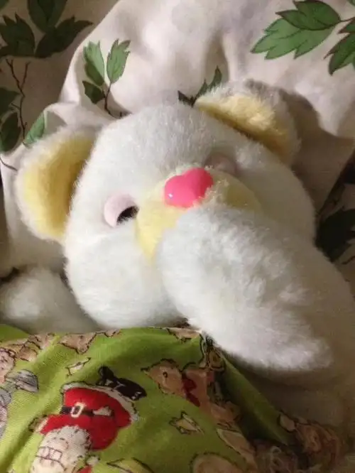 我收养的一只小熊