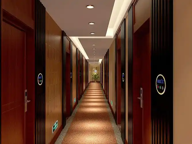 豪华宾馆室内过道装修效果图片