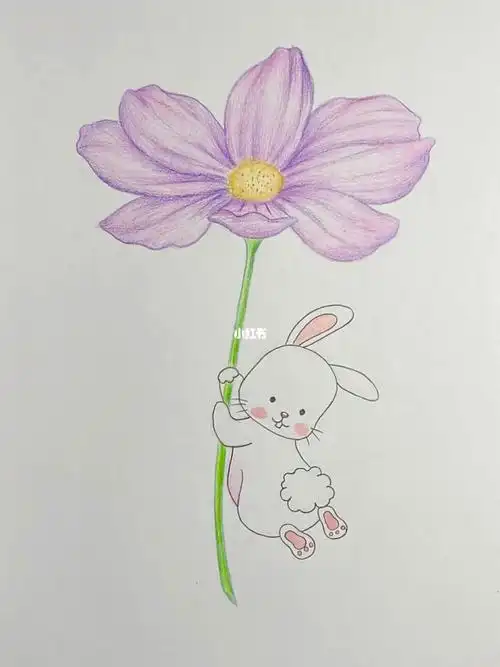 彩铅手绘小雏菊