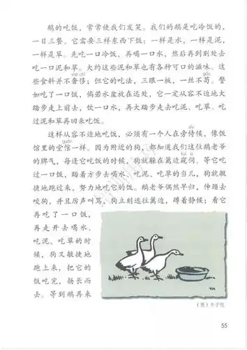 3216 15 白鹅 丰子恺 倍速播放下载收听 00:00 04:59 四年级下册课