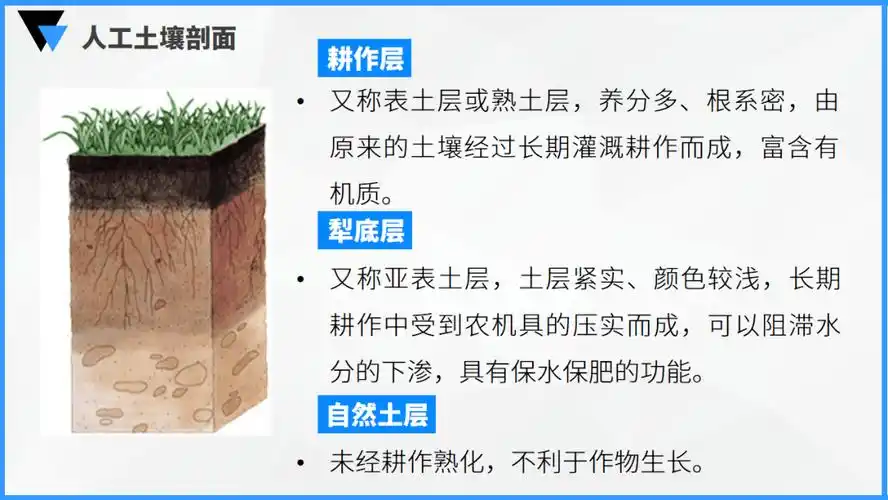 通过土壤剖面图,介绍土壤的垂直分层情况,并通过森林和草原的剖面图