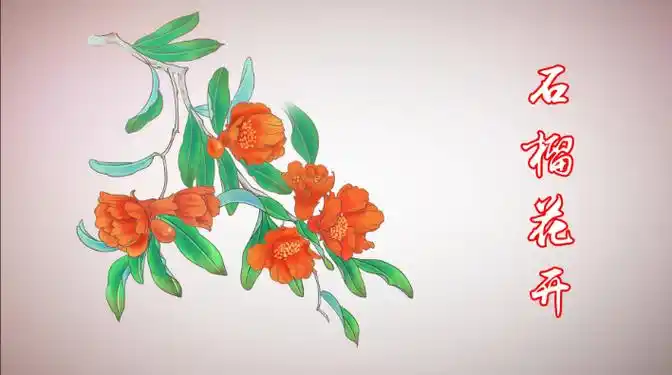 石榴花的简笔画手抄报 花的手抄报