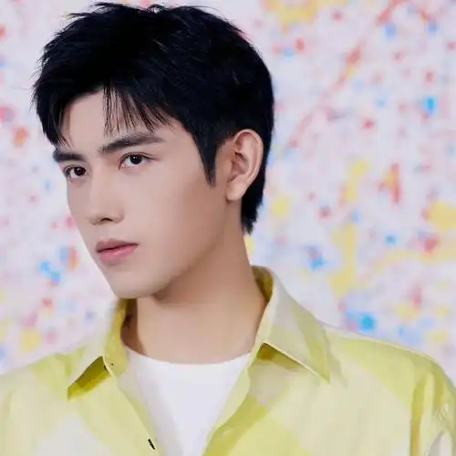 微信头像陈飞宇