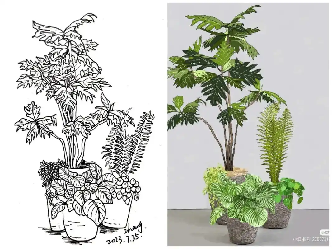 【三】植物盆栽.#黑白线描画 #每日一画 #植物 #作品分享 - 抖音