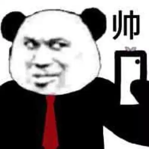 帅熊猫头自拍头自熊猫表情