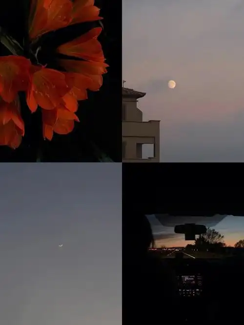 分享图片ins风照片附调色教程