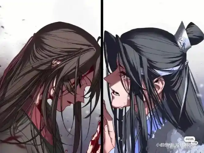 心情不好,发点刀#魔道祖师  #忘羡  #魏无羡  #蓝忘机  #君君的怜怜