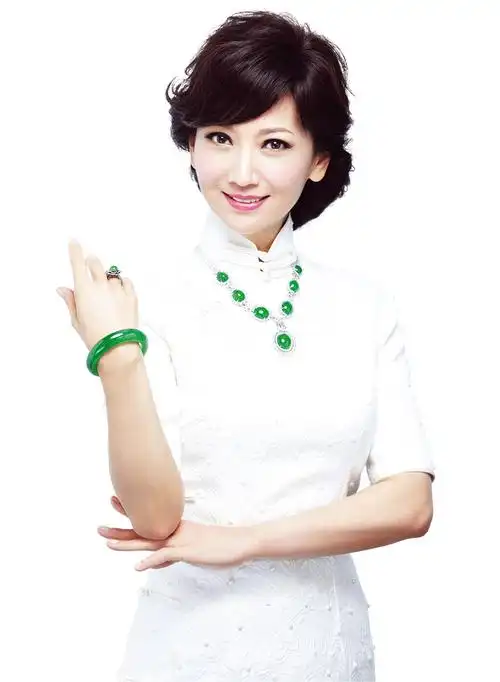 赵雅芝女士与百年品牌老凤祥结缘于2008年,其典雅高贵的形象与老凤祥