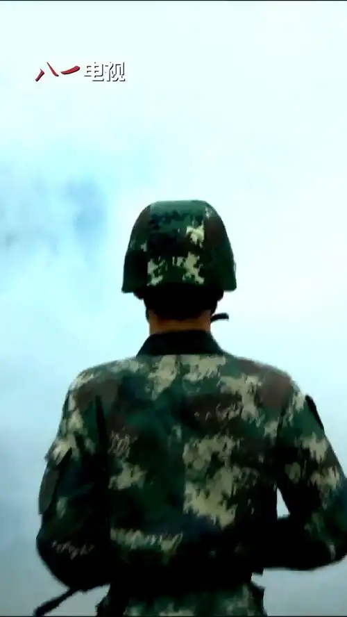 各军种帅气"背影杀" 这与火炮齐飞的战场更配!_手机新浪网