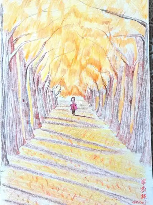 彩铅画银杏林