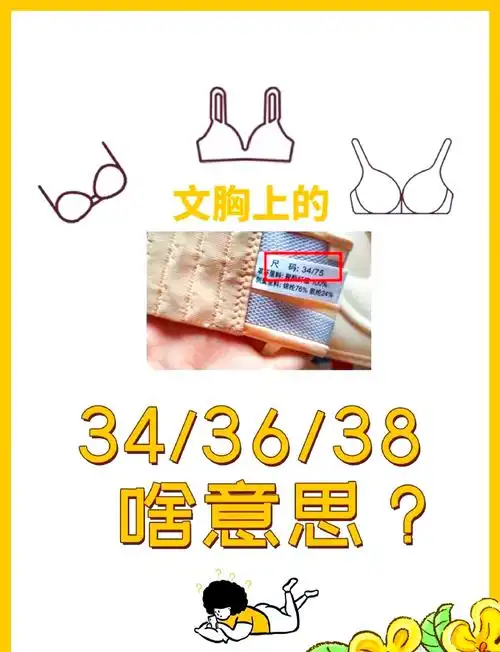 🤔文胸尺码36/38解惑