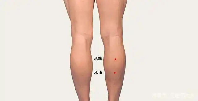 浅说小腿部穴位!