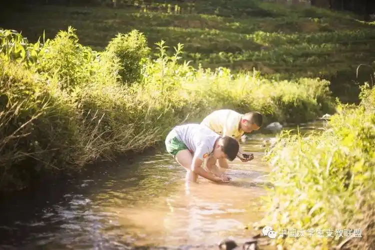 童年的夏天内附组图