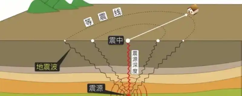 发生地震时最先感到的地震波是什么波