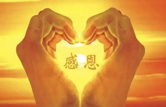 感恩父母!这辈子欠得实在太多!