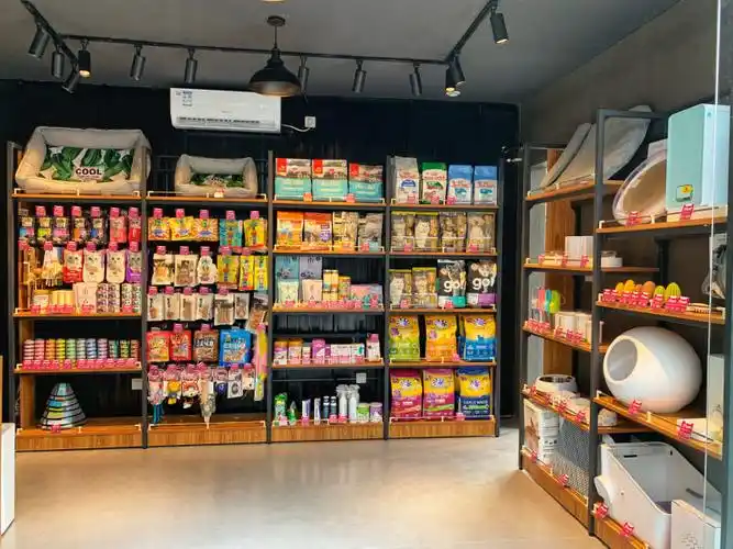 赚钱的宠物店要怎么开