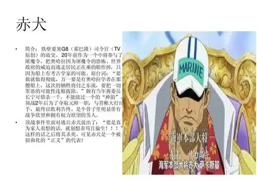 海贼王人物简介