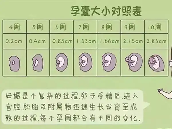 网传的孕囊大小看男女对照表准确度高吗