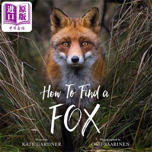 ossi saarinen:how to find a fox 如何找到一只狐狸 英文原版 进口