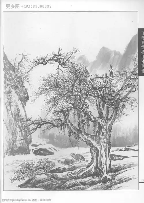 工笔画线描山水画谱树石16图片