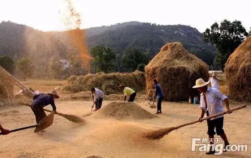 第二季的水稻成熟在10月秋收季节,而我们说的农忙就    我国江南地区