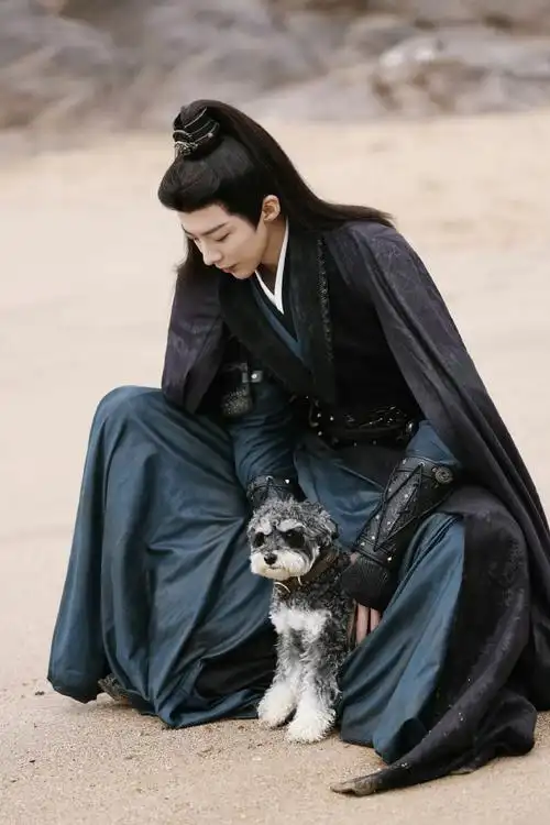 刘宇宁魏劭##刘宇宁折腰