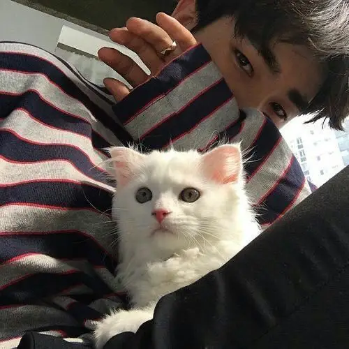 姐妹们求男生抱着猫的头像