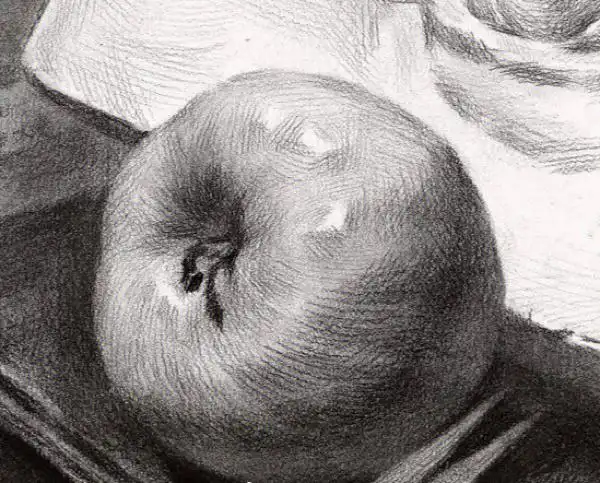 素描静物单体苹果塑造素材