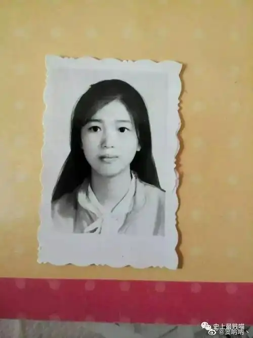 网友评论看呆了._照片