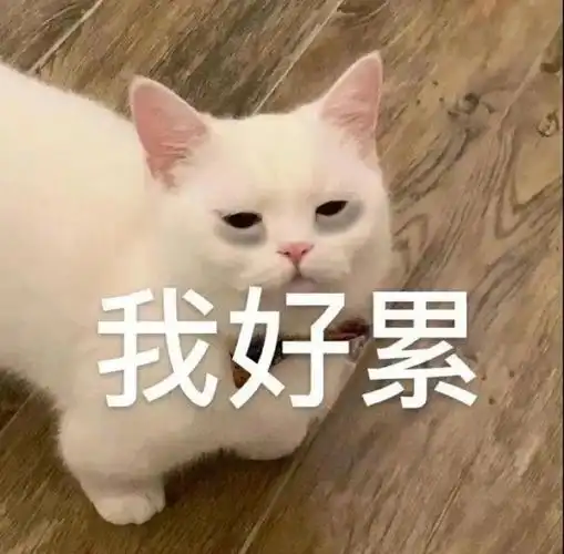 抖音情侣表情包