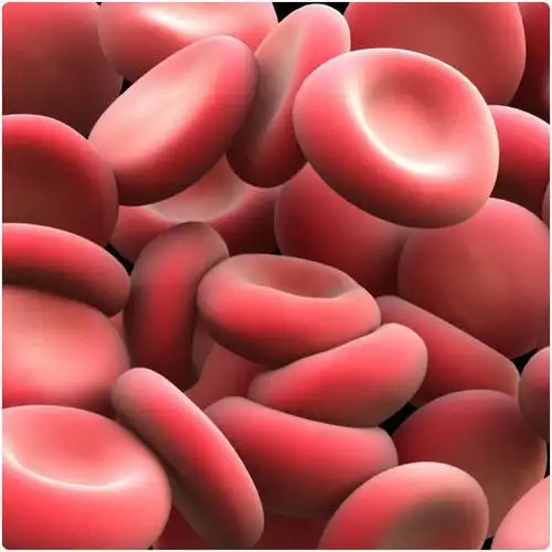 red blood cells