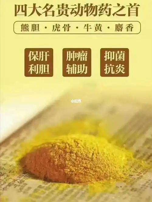 科普～熊胆粉使用禁忌和那些功效