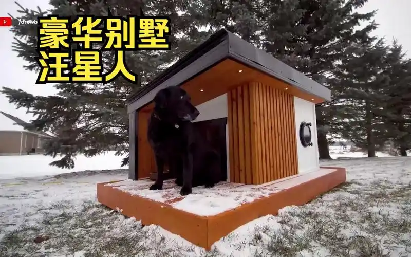 狗狗的豪华别墅,带暖气的.