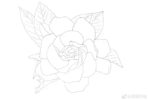 栀子花永恒的爱与约定投稿