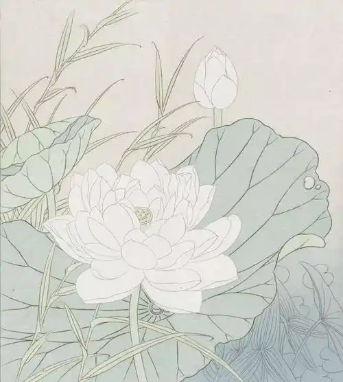 【国画教程】李科宏工笔《67紫莲飘香晨风里》画法_荷花_绿色_藤黄