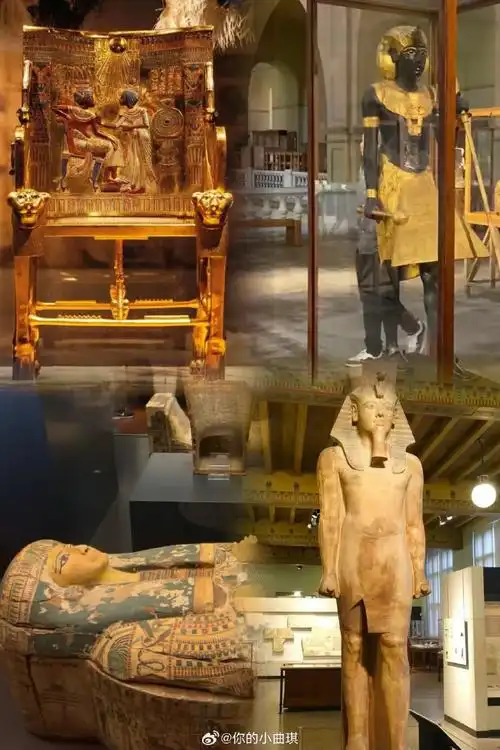 上海最火7915古埃及金字塔之巅·木乃伊展7815