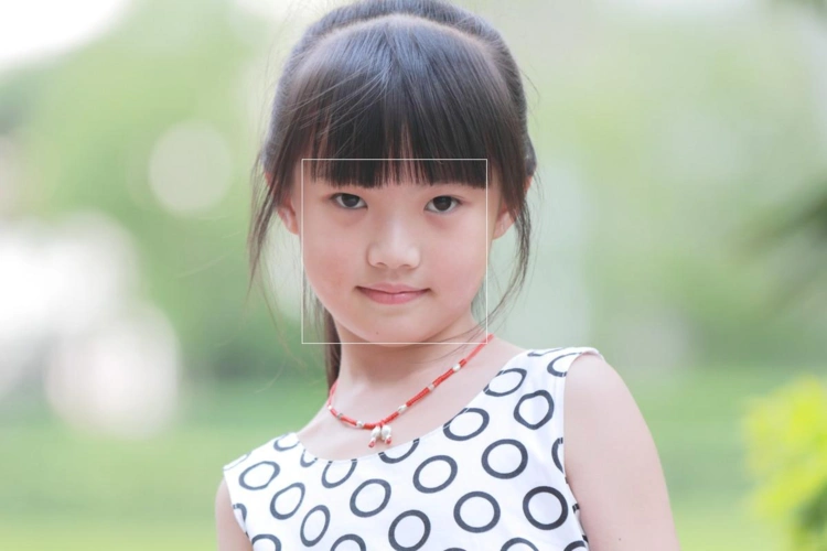 [雪峰磁针石博客]免费的好用的ocr工具 人脸识别等图像识别工具-阿里