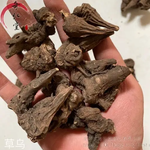 供应中药材草乌草乌批发零售